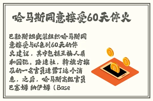 40岁阿姨荒野大镖客一电影内容